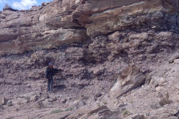 Cacite Paleosols beneath large fluvial cross-sets_Ruby Ranch Mbr, Cedar Mtn Fm, Utah_photo by @geology Jesse