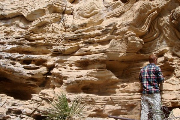 Soft Sediment Deformation in Turbidites_Brushy Canyon Formation_Permian Basin, West Texas