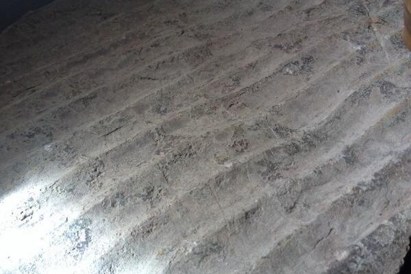 oscillation ripples in the Dinwoody Fm., Flaming Gorge_photo by Rob Mahon